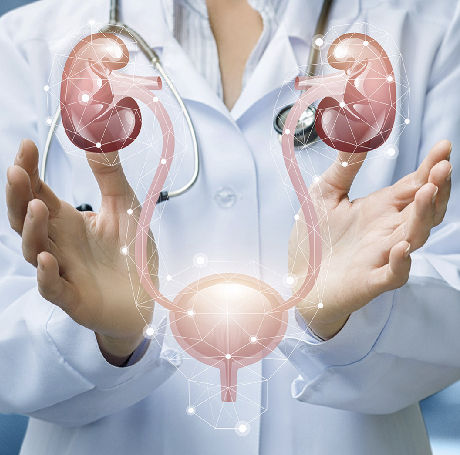 Urología Femenina